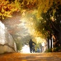 Autumn Road