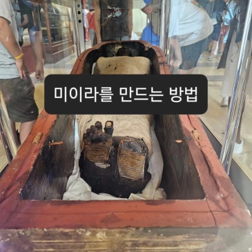 미이라를 만드는 방법!