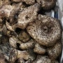 마지막능이버섯, 염장버섯, 뽕나무버섯, 황철상황버섯, 삶은버섯, 송근봉 까유~ 까유~ 이야기~