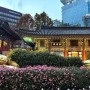 서울 광화문 볼거리 조계사 국화축제 종로 가볼만한곳
