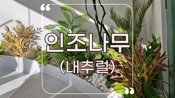 인조나무, 엔카이셔스 조경, 강동구 한의원 내추럴한 실내정원 만들기 : 네이버 블로그