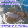 해탕 과메기 ~ 자연산 무늬오징어 ~ 긴급 공지안내