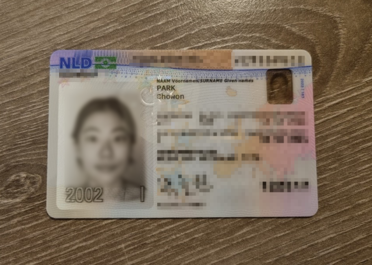 [네덜란드 교환] 생각보다 간단한 거주허가증 IND, BSN 예약부터 발급까지(1) : 네이버 블로그
