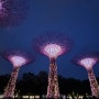[싱가포르] 나 홀로 떠나는 P의 우당탕탕 싱가포르 여행 3일차_2(가든스 바이 더 베이 아바타, 슈퍼트리 쇼, 머라이언 공원, 아시아 문명 박물관, 빅토리아극장)