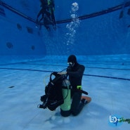 진주 창원 스쿠버다이빙 오픈워터의 시작은 정글다이브에서
