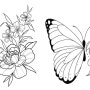 나비 그림 스케치 도안자료 색칠공부 밑그림 Butterfly coloring book pattern sketch