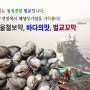 벌교꼬막 의 계절 산지직송 직접생산 직접판매