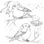 작은 새그림 미술자료 컬러리북 색칠공부 이미지 스케치자료Little Bird Drawing Sketch