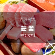 [반석동] 대전 참치 맛집, 눈꽃