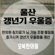 울산 갱년기 우울증 한의원에서 치료를, 완경 폐경 여성호르몬 결핍 등, 화병 근육통 기타 자율신경실조 증상에도 오복한의원