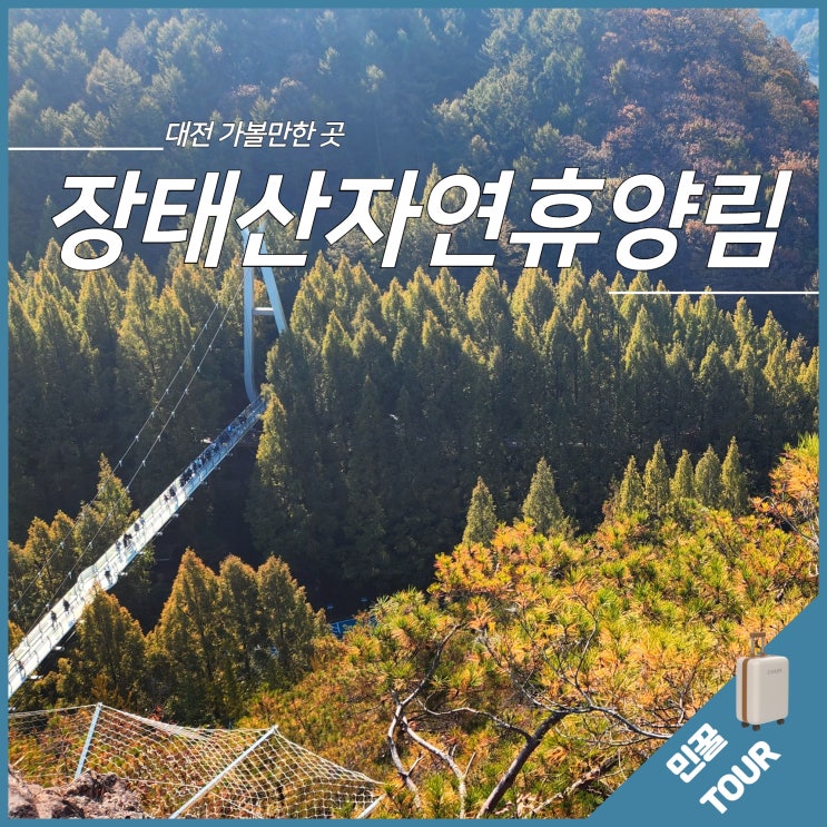 장태산 자연휴양림 대전 단풍명소 출렁다리 스카이웨이