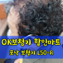 [청주 보청기] 노인성난청, 귀걸이형 충전식 보청기 착용 사례 <포낙 L50-R>