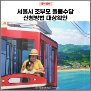 서울시 조부모 돌봄수당 신청방법 손주돌봄 증명 조건 서류