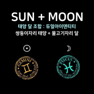 [태양달 조합] - 쌍둥이자리 태양 + 물고기자리 달 : 듀얼아이덴티티