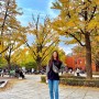 서울 동숭동 혜화역 데이트 마로니에공원 가을 단풍 은행나무 커플룩 앤드지맨투맨 MLB모노그램힙색 구찌앵클부츠