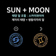 [태양달 조합] - 게자리 태양 + 쌍둥이자리 달 : 스카이와이어