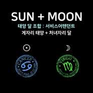 [태양달 조합] - 게자리 태양 + 처녀자리 달 : 서비스어텐던트