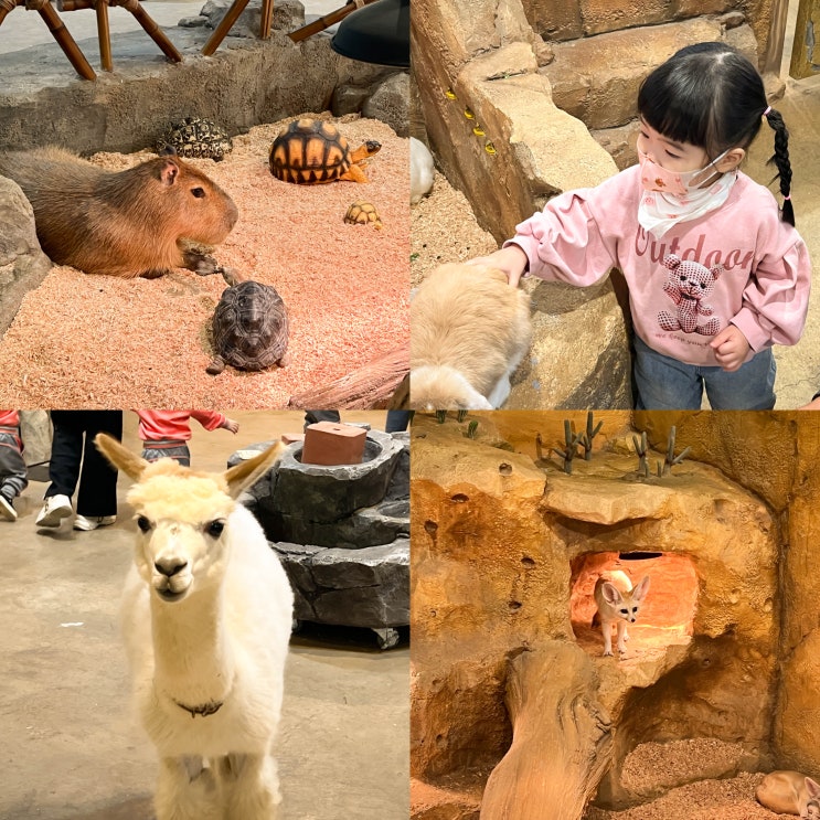 부산 동물원 라라쥬 명지 실내 아기랑 갈만한곳