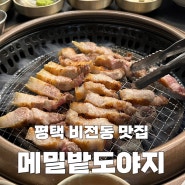 [평택 비전동 맛집] 숙성잘된 퀄리티 좋은 돼지고기 전문점 ‘메밀밭 도야지’