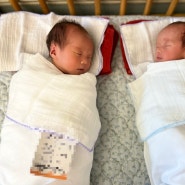 쌍둥이 36주 아인병원 제왕절개 및 새봄산후조리원 후기