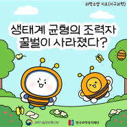 [디로라노 과학이야기] 생태계 균형의 조력자 꿀벌이 사라졌다?