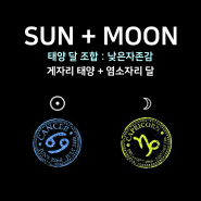 [태양달 조합] - 게자리 태양 + 염소자리 달 : 낮은자존감