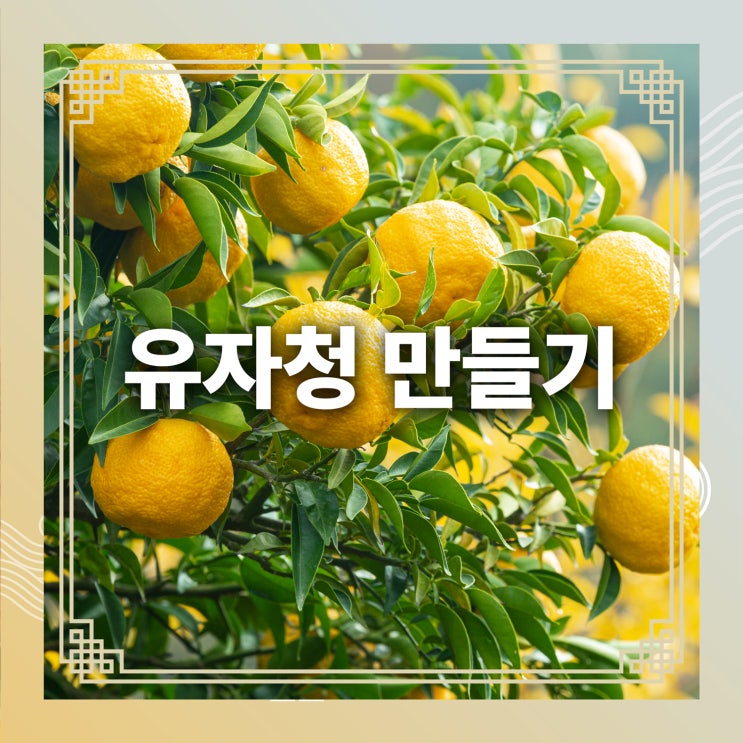 유자차 만들기 유자청 만드는법 보관법 유자 효능 : 네이버 블로그