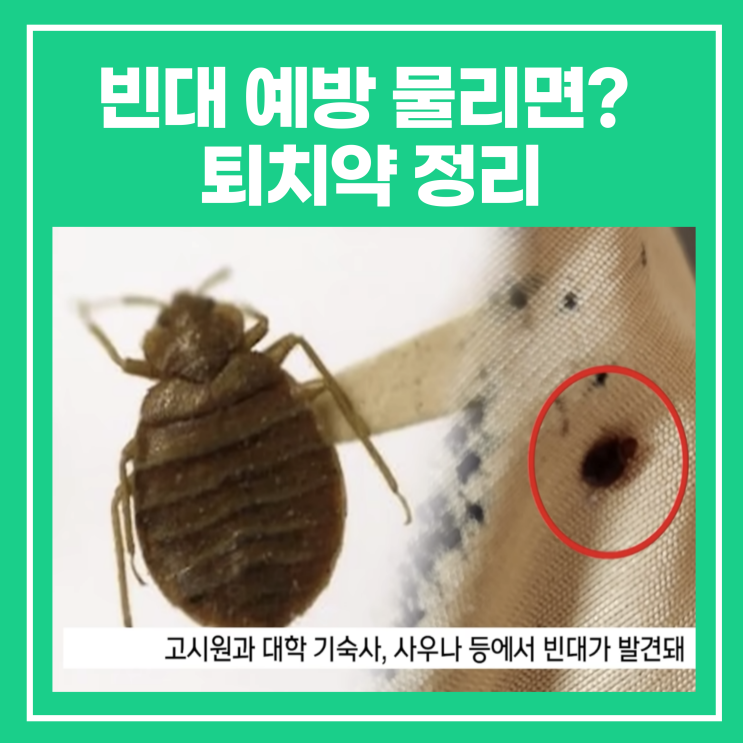 빈대 예방 물리면? 퇴치약 정리 : 네이버 블로그