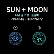 [태양달 조합] - 게자리 태양 + 물고기자리 달 : 돌팔이