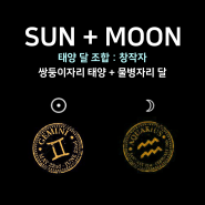 [태양달 조합] - 쌍둥이자리 태양 + 물병자리 달 : 창작자
