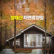장태산 자연휴양림 (숲나들e 숙소) 🌲 대전 여행 단풍 명소, 11월 가볼 만한 곳 여행지
