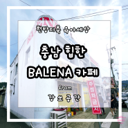 충남 예산 시장 백종원거리 옆 캠핑존이 있는 힙한 카페 BALENA(발레나)