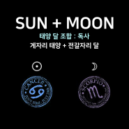 [태양달 조합] - 게자리 태양 + 전갈자리 달 : 독사