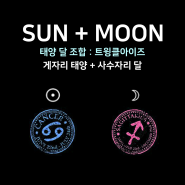 [태양달 조합] - 게자리 태양 + 사수자리 달 : 트윙클아이즈