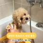 강아지 목욕 주기, 애견 목욕하는 법