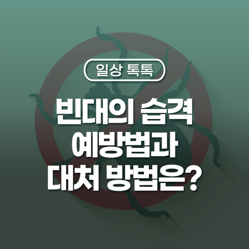베드버그 빈대 증상, 물린 자국, 빈대 피해 예방법부터 대처 방법까지! : 네이버 블로그