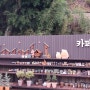 대전 근교 금산 진산 카페 카페마낭