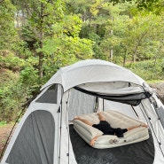 피톤치드 킁킁 자연가득 캠핑 : 양평 다목적 캠핑장