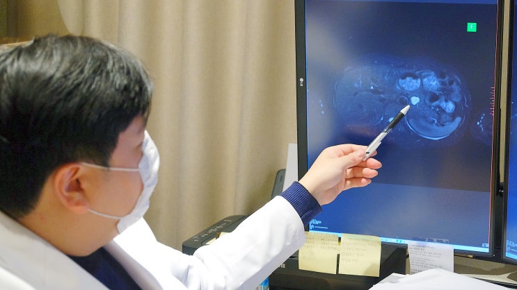 췌장 검진 추천, 초음파와 췌장MRI 검사 특징 : 네이버 블로그