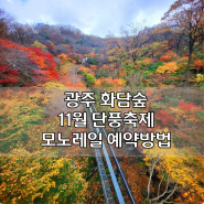 광주 화담숲 11월 단풍 구경 모노레일 예약 방법