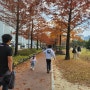 대전 가보자고!! 2023년 가을여행, 대전둔산대공원, 대전엑스포공원 가족여행~