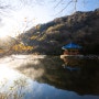 11월의 비바람 후 내장산/ 백양사/ 선운사 풍경