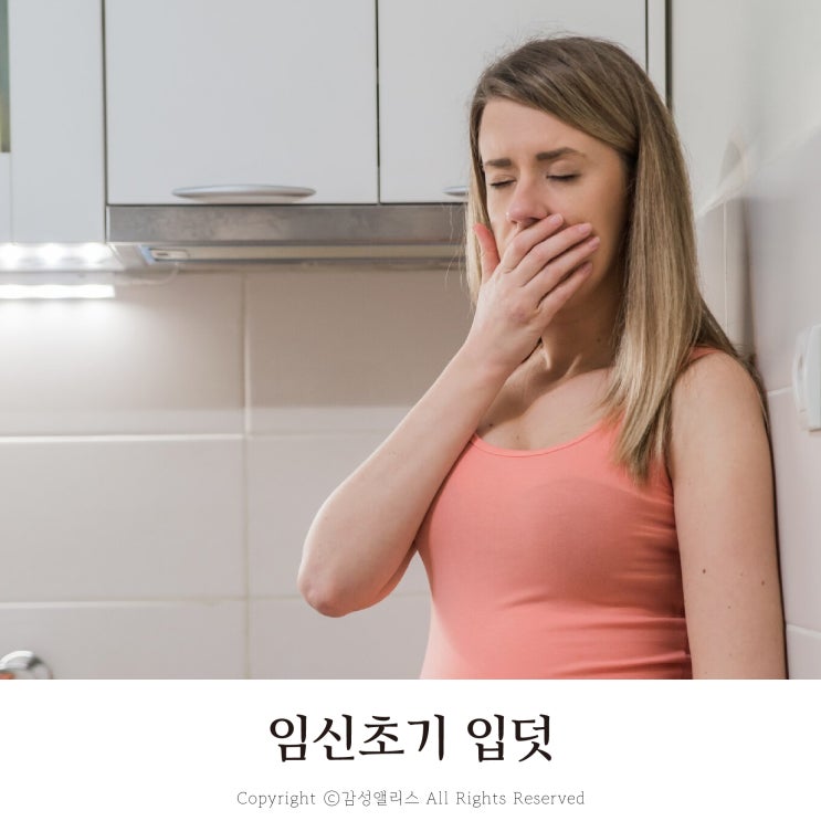 임신초기 체덧 완화 및 체덧 입덧약 입덧 먹덧 경험담 : 네이버 블로그