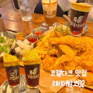 광주 남구 봉선동 코젤다크 맛집 리비어밤코02 봉선점