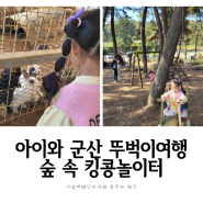 군산뚜벅이여행:D 아이와 가볼만핫 곳 동물먹이도 주고 시간제한없이 놀 수 있는 킹콩놀이터