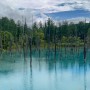삿포로 D+2. 후라노 비에이 투어 | 라쿠투어 | 팜토미타 | 청의 호수 | 흰수염폭포 | 사계채의 언덕
