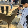오사카여행:초등학생 아들과 함께 한 오사카여행
