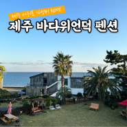 제주도 서귀포 펜션 | 가성비 좋은 제주 남원 숙소 바다위언덕