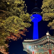 서울구경 밤마실 인사동 + 남산타워 케이블카 타고 야경 단풍구경💛 2탄