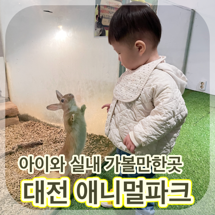대전 아이와 실내 가볼만한곳 동물체험 티놀자애니멀파크